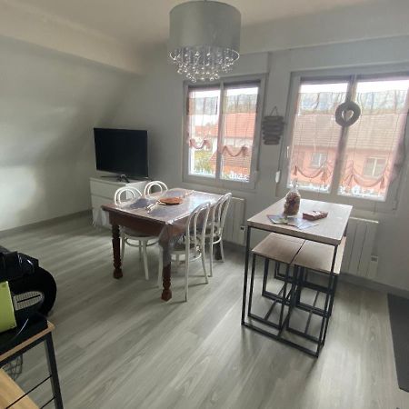 Au Paradis D'Alsace 55 M2 Nature & Relax Ingwiller 外观 照片