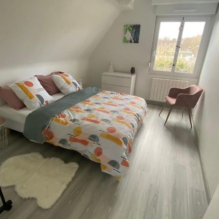 Au Paradis D'Alsace 55 M2 Nature & Relax Ingwiller 外观 照片