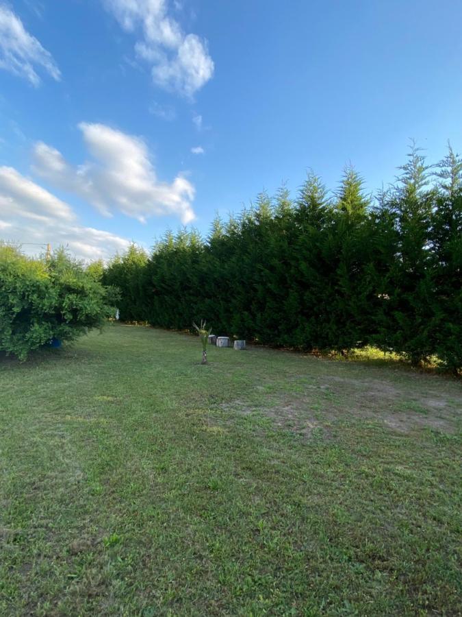 Au Paradis D'Alsace 55 M2 Nature & Relax Ingwiller 外观 照片