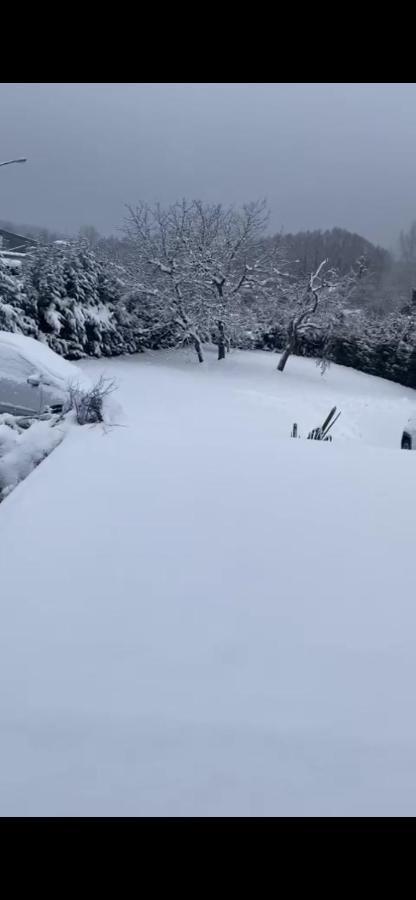 Au Paradis D'Alsace 55 M2 Nature & Relax Ingwiller 外观 照片