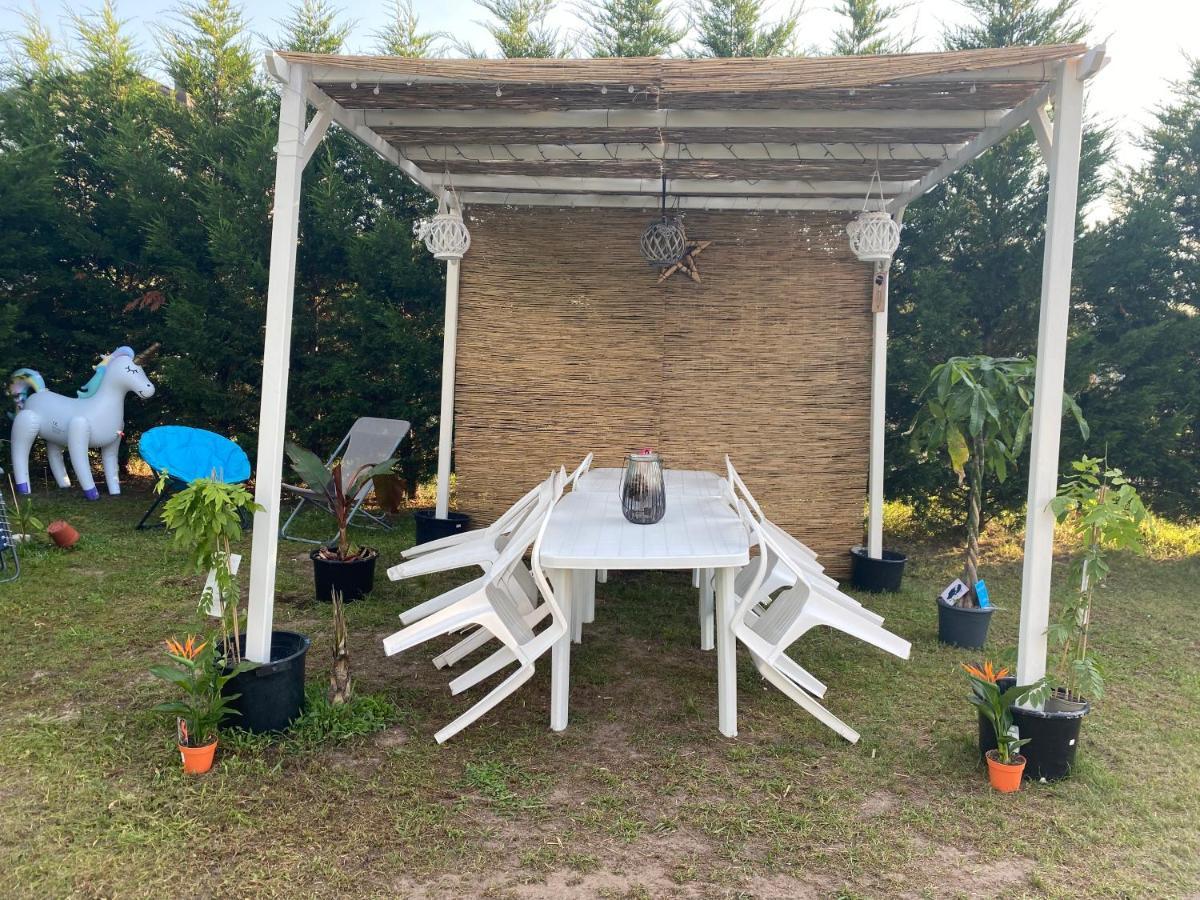 Au Paradis D'Alsace 55 M2 Nature & Relax Ingwiller 外观 照片