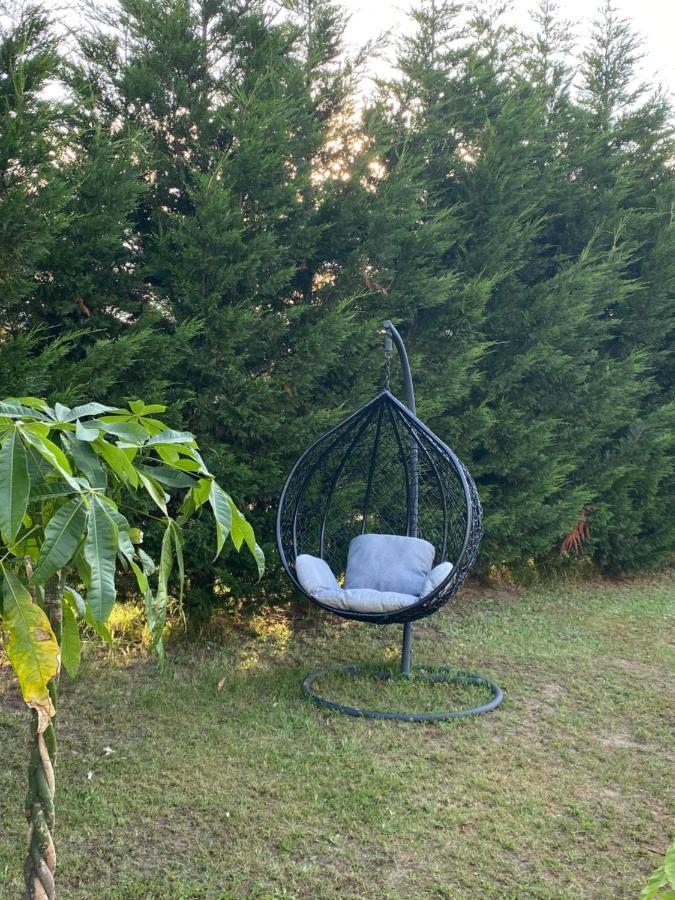 Au Paradis D'Alsace 55 M2 Nature & Relax Ingwiller 外观 照片