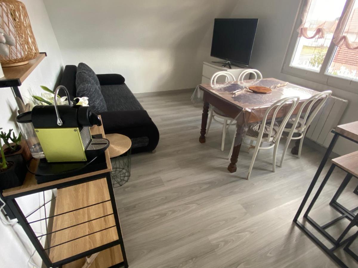 Au Paradis D'Alsace 55 M2 Nature & Relax Ingwiller 外观 照片